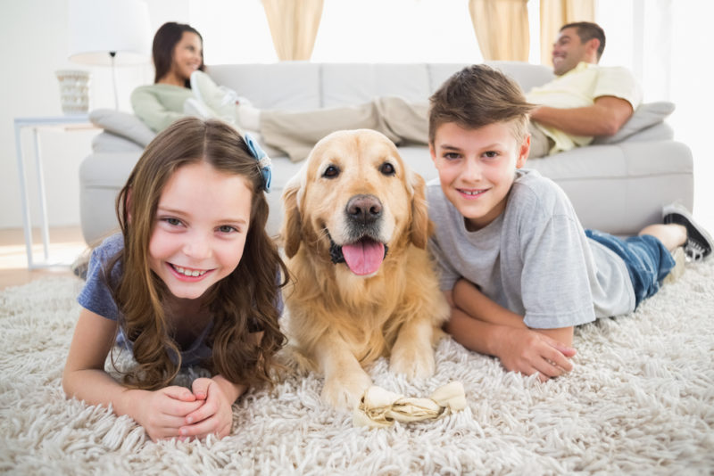 3 Surprising Ways to Boost Indoor Air Quality in Your Home